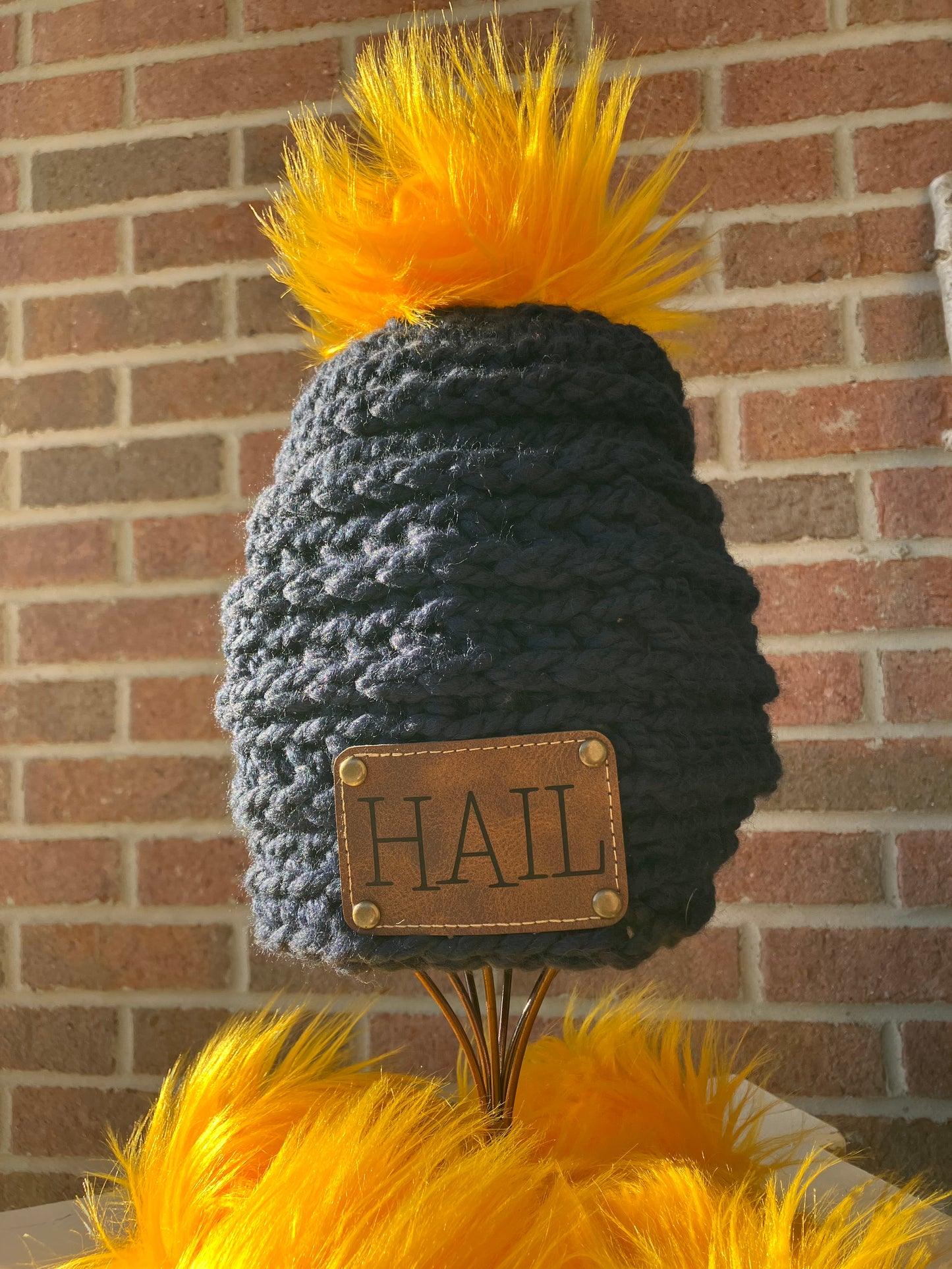 Hail to the Victors Hat